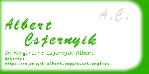 albert csjernyik business card